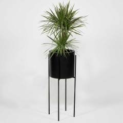 Moss Silindir Çapraz Demir Ayaklı