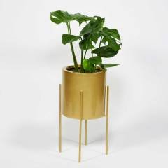 Moss Silindir Çapraz Demir Ayaklı