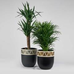 Armoni 2'li Kombin 2