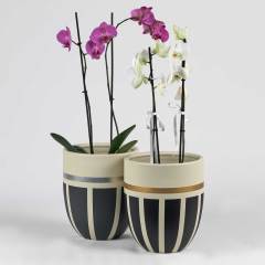 Armoni 2'li Kombin 4