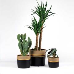 Mimoza Duru 3'lü Kombin