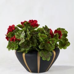 Vega İç Dekor Seramik Saksı