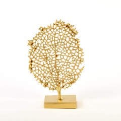 Gold Mercan