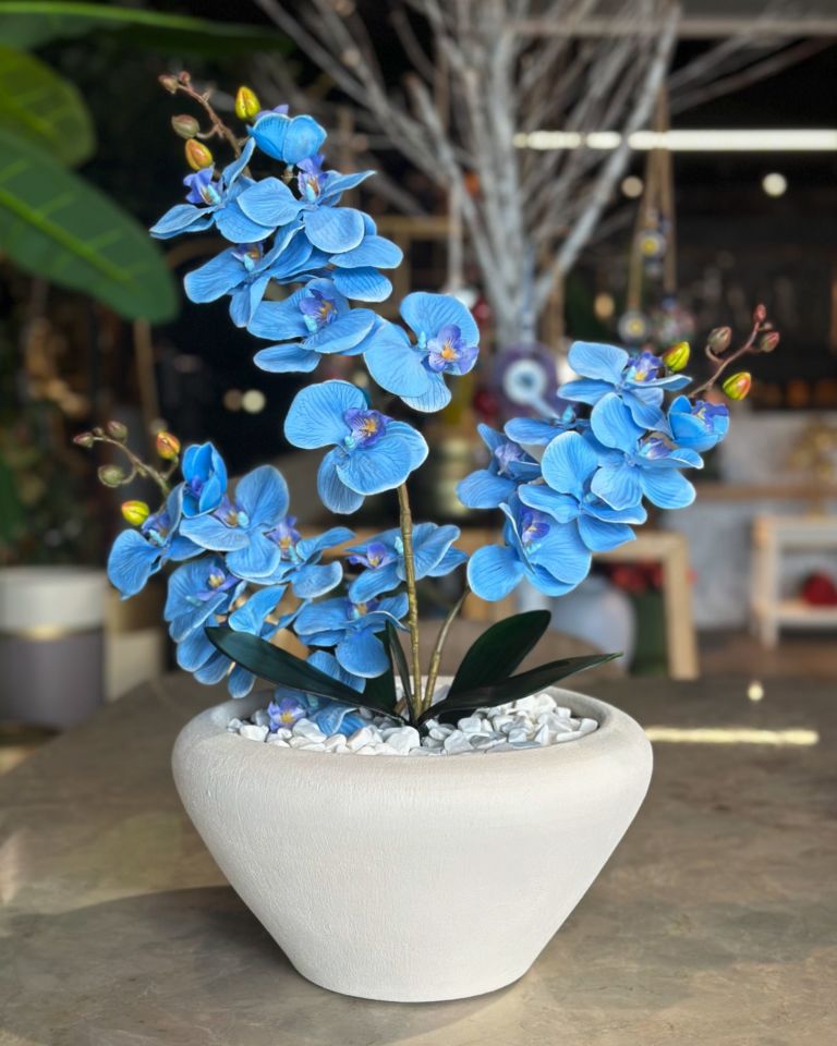 Krem Seramik Sukulent Saksı