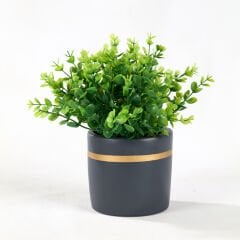 Mini Mini Saksı Gold Çizgili