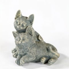 Yavrulu Kedi Biblo