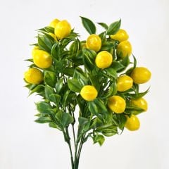 Limon