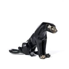 Puma Oturan