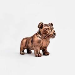 Bulldog