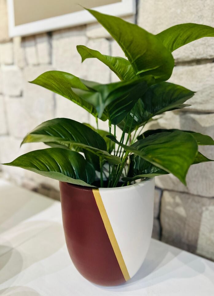 Lignum Kasım Bordo&Krem&Gold