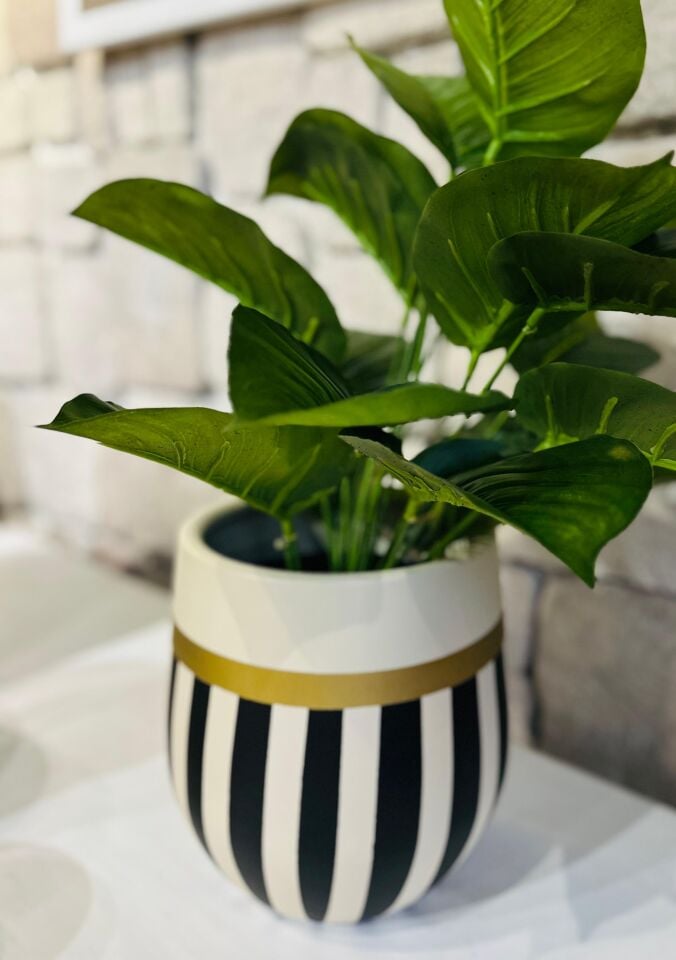 Armoni Small Seramik Krem&Siyah&Gold 20x25