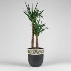 Armoni Gümüş 37x40