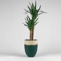 Maksima Vuslat 35x44